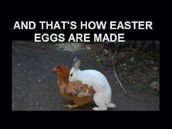 Easter Eggs.jpg
