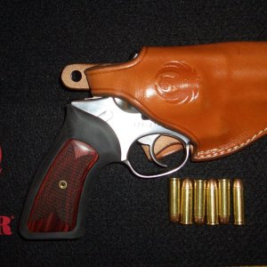 Altamont Grip and Ruger Holster.JPG